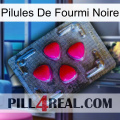 Black Ant Pills 13